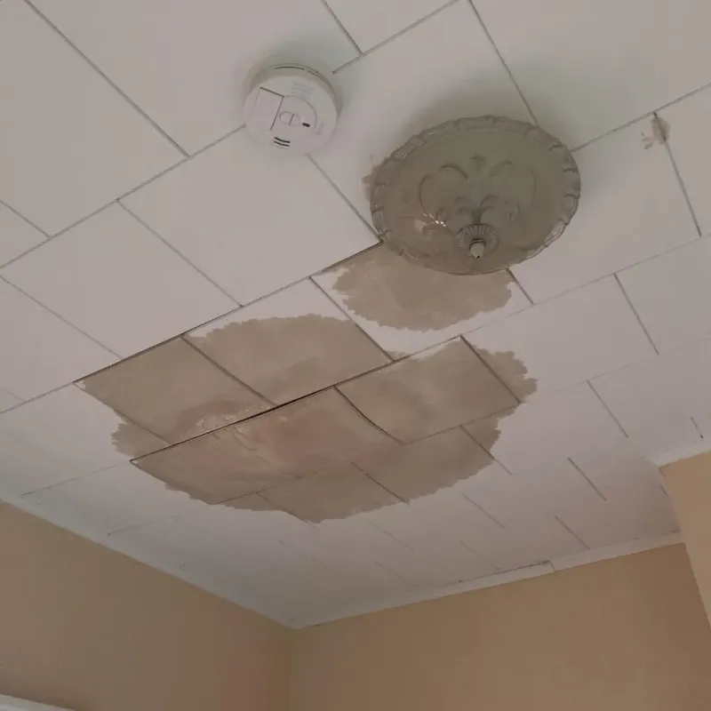 Ceiling Water Damage Repair in Campbell County, WY