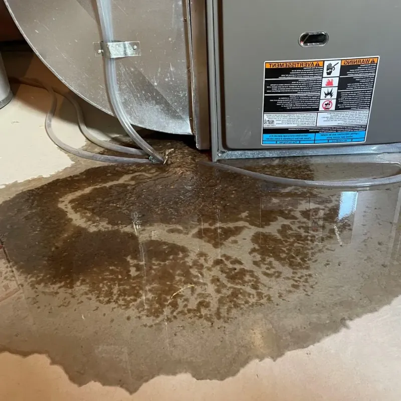Pipe Burst and Leak Restoration in Campbell County, WY