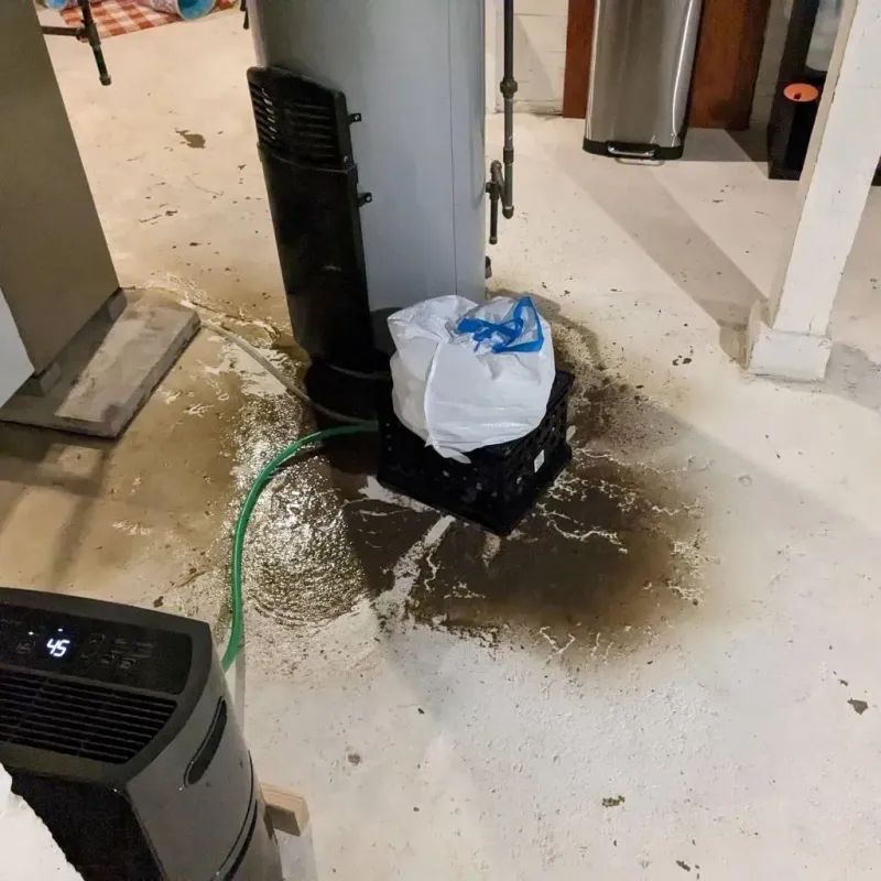 Sewage Backup Cleanup Service in Campbell County, WY